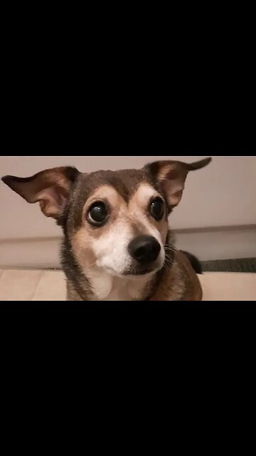 Let's Take A Walk, Ray