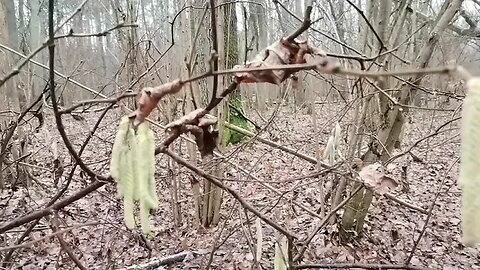 małe ... wielkie ... próby