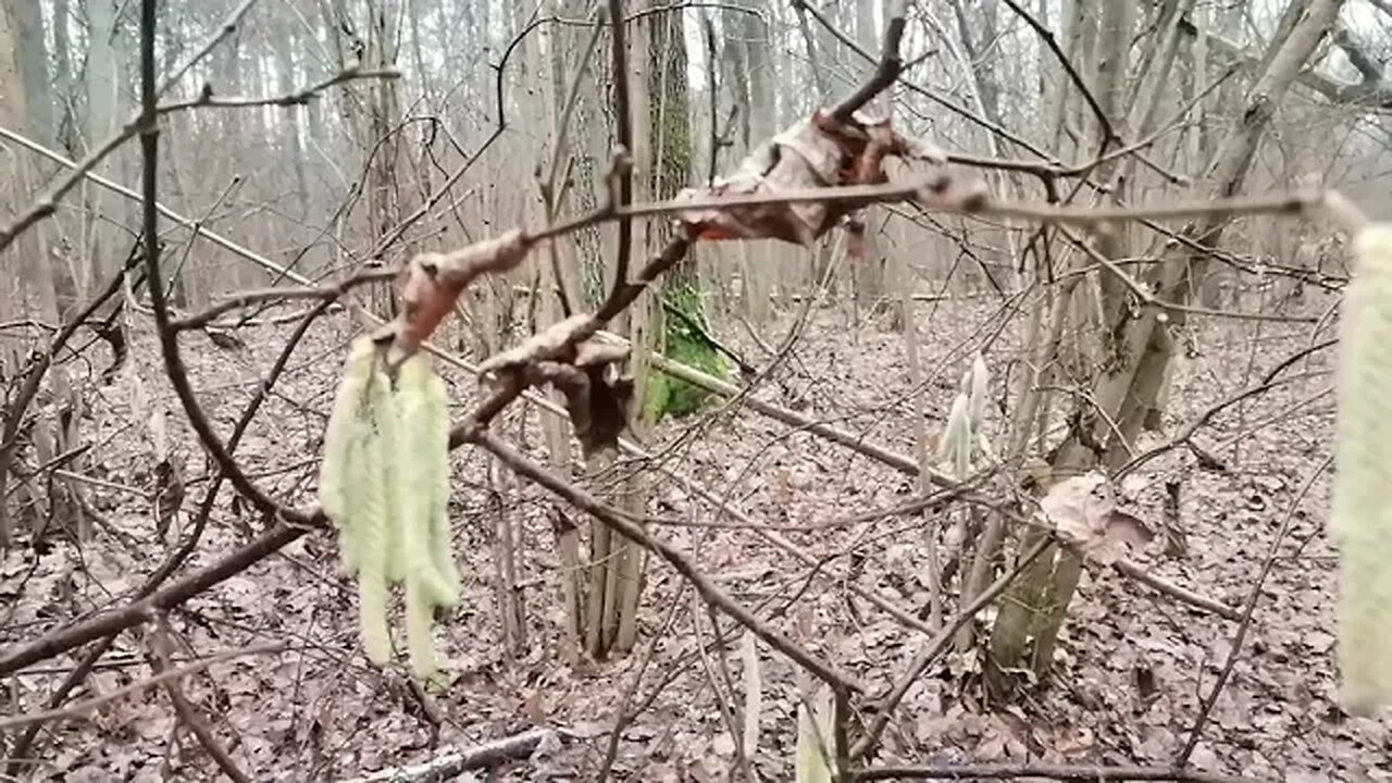 małe ... wielkie ... próby