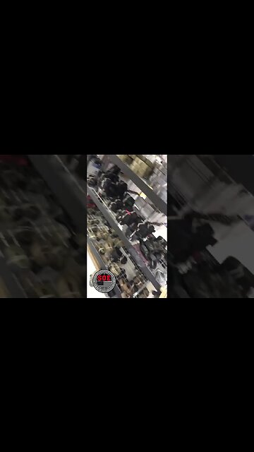 Whats the best electric lawn care brand? #shorts #youtube@Egopowerplus @KobaltTools @MilwaukeeTool