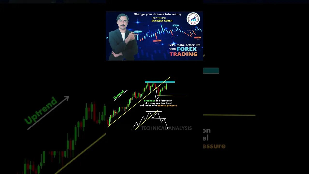 Technical Analysis Charts for Beginners in Stock Market | National Forex Academy