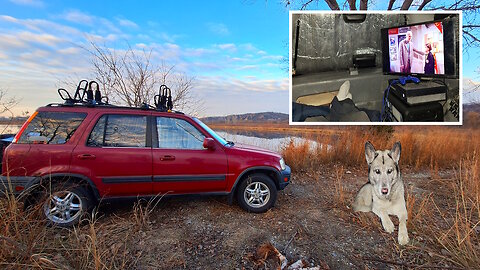 BELOW FREEZING Camping in my car with my dog STRANGERS IN THE AM