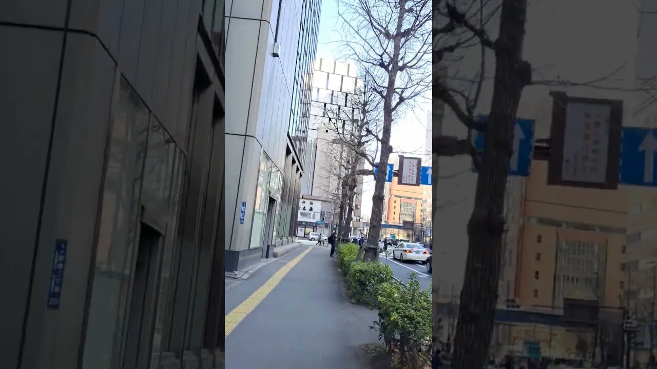 신바시거리, 도쿄