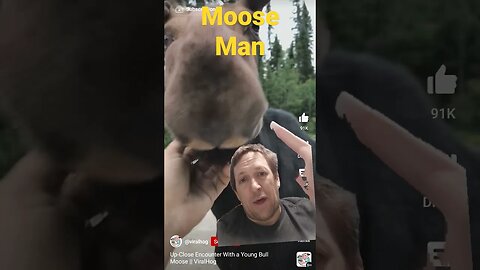 Have You Ever Seen a Moose Do THIS?