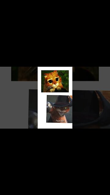 o gato de botas #shorts