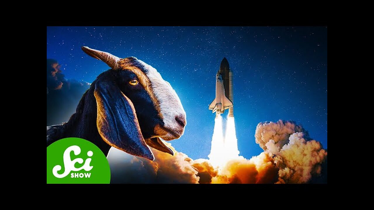 Space, Goats, and Climate Change