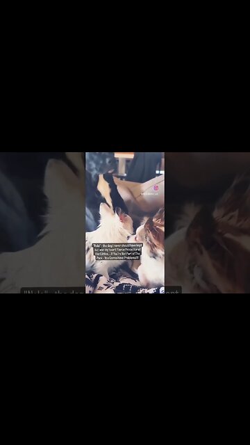 The Littles..... #dog