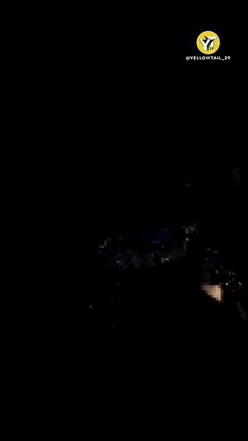 A MiG-29 Fulcrum fighter of the 204th Tactical Aviation Brigade of the Ukrainian Air Force hits a