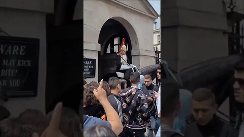 4 times tourist got shouted at when the Queen was alive #horseguardsparade