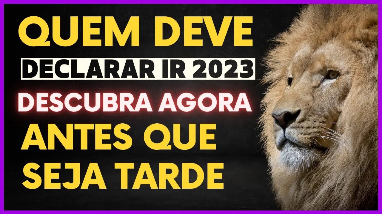 IMPOSTO DE RENDA 2023 | QUEM DEVE DECLARAR - VEJA O QUE FAZER PARA NÃO DA SOUPA PARA O LEÃO