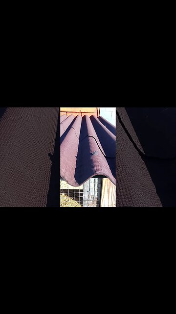 Ondura Roof failed already. Buyers beware.