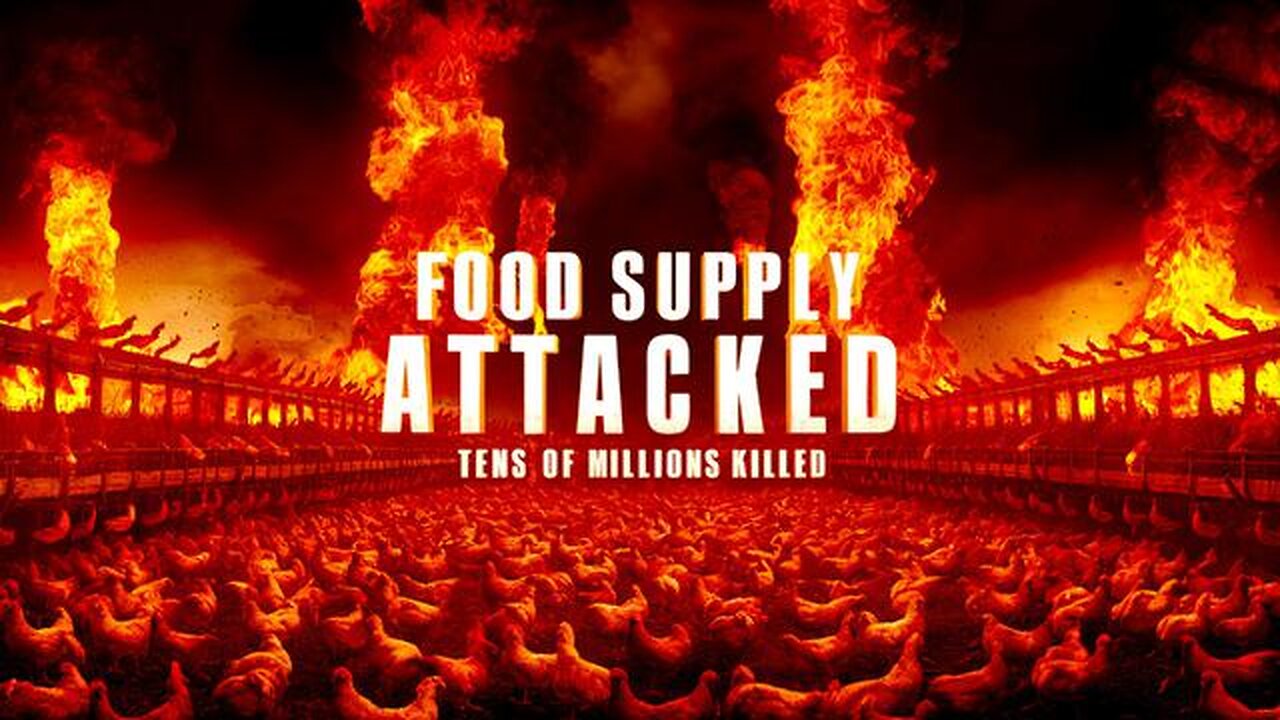 100's of Millions of Chickens Put Down. Gov. Attack on Food. The Flu Tests Are Fake