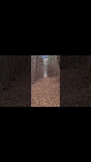 Trail to My Back Pasture