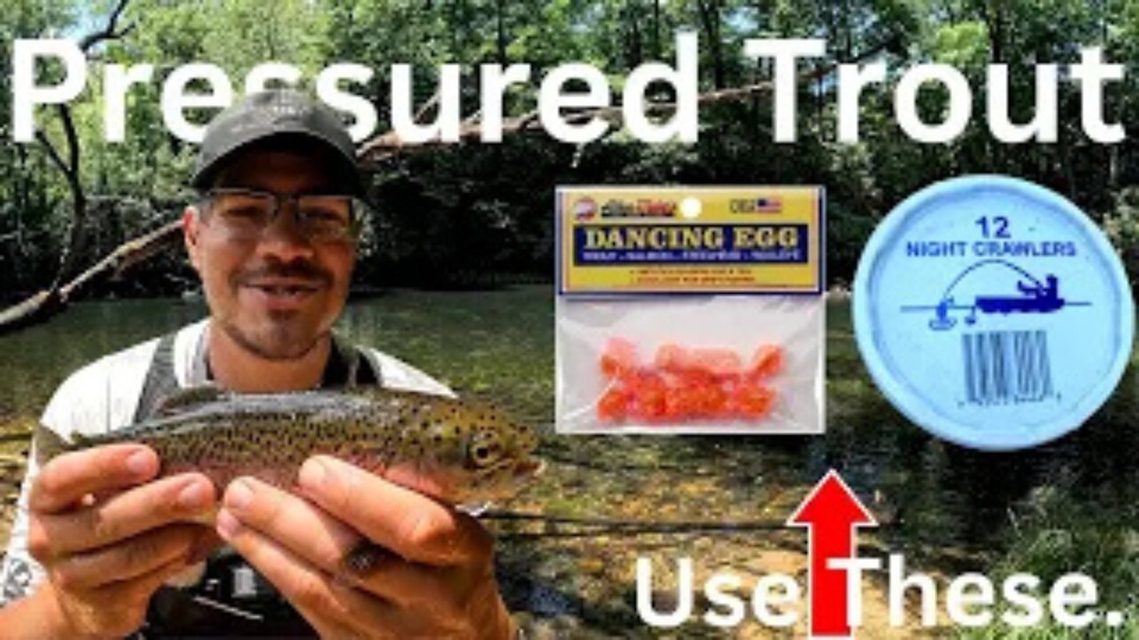 DO THIS IF YOU WANT TO CATCH (PRESSURED) TROUT. Catch and Cook.!!!