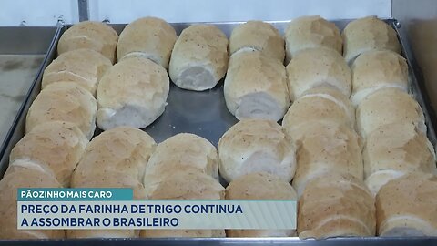 Pãozinho mais Caro: Preço da Farinha de Trigo Continua a Assombrar o Brasileiro.