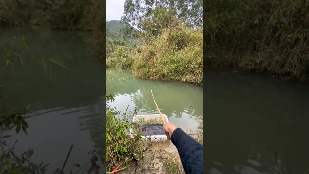 cara cepat mancing dapat ikan