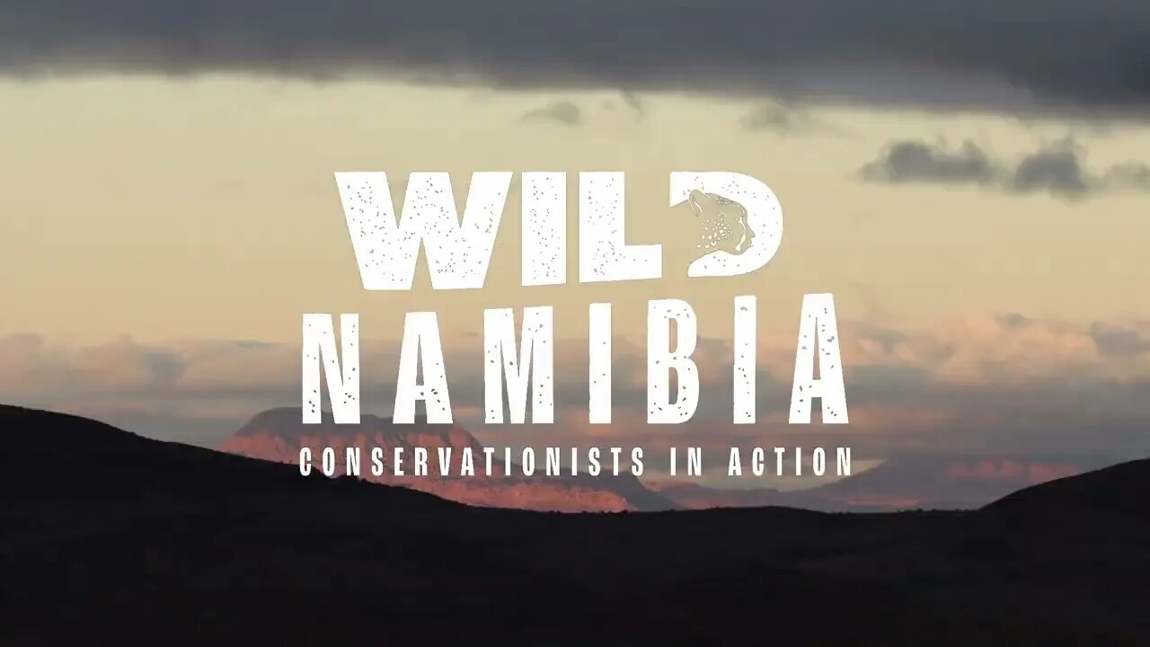 E01 starting February 12th at 18h30 : "WILD NAMIBIA - Conservationists in Action" on One Africa DSTV