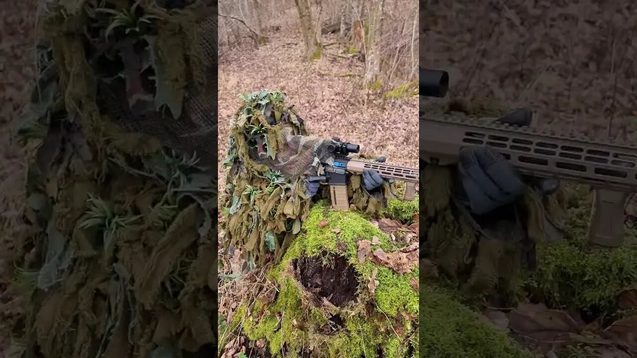 Just a rifle on a stump, nothing to worry about