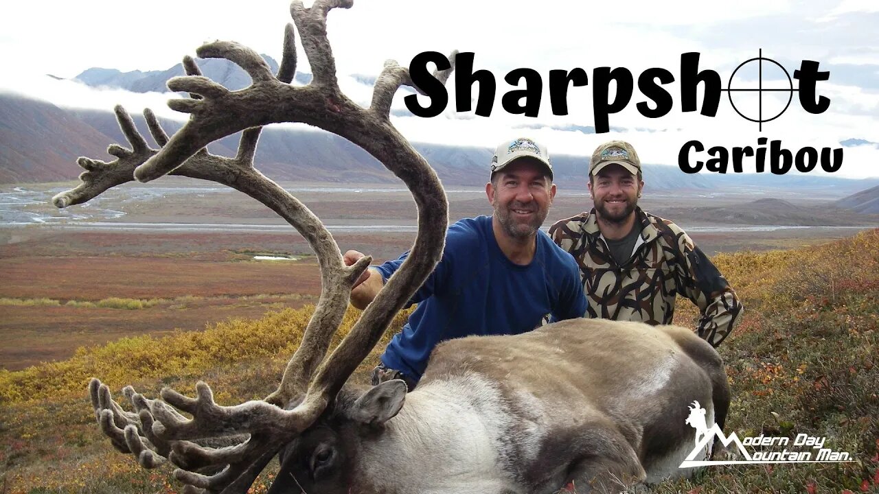 Sharpshot Caribou, MDMM Season 4, Episode #9