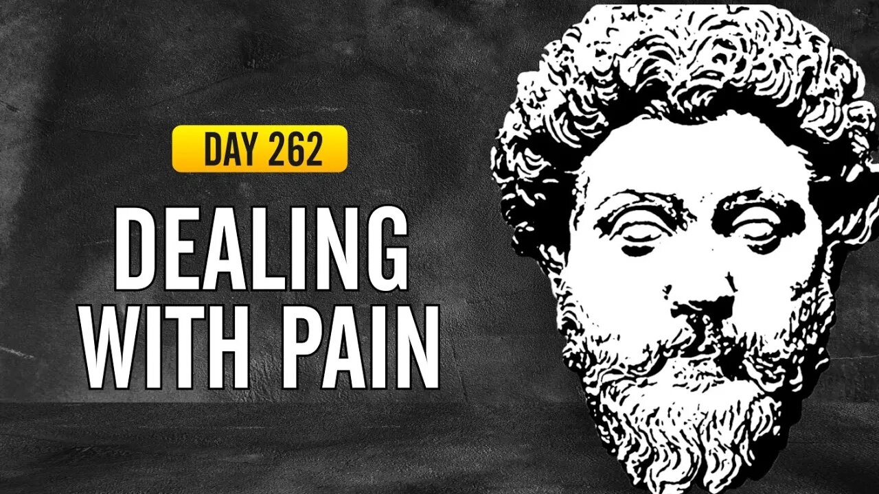 Dealing with Pain - DAY 262 - The Daily Stoic 365 Day Devotional