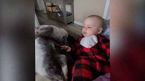 Cutest Babies Play With Dogs And Cats Compilation Cool Peachy @ 5