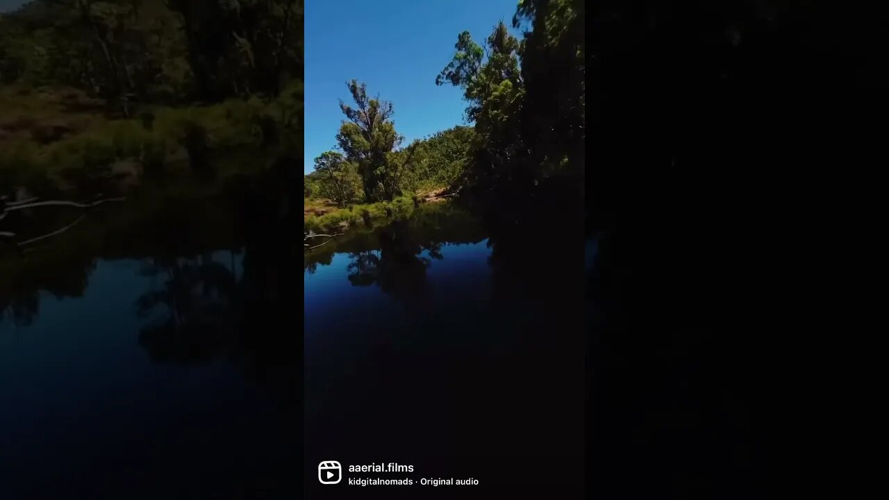 FPV River Run 🏞️ Magical Forest w/ DJI O3 Air Unit 🚁🥹 #shorts #fpv #djio3 #dji #adventure #drone