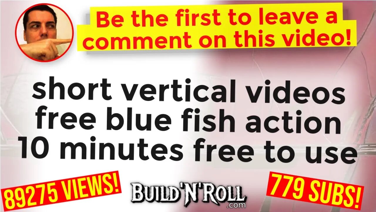 short vertical videos free blue fish action 10 minutes free to use