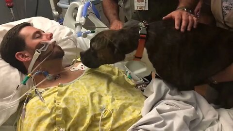 A Heart Touching Moment How The Dog Says Goodbye To His Owner