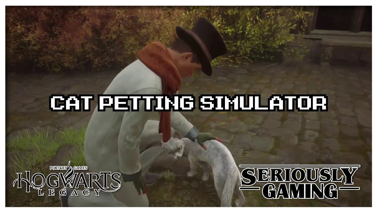 Cat Petting Simulator: "THAT" Wizard game! #hogwartslegacy #hogwarts #jkrowling