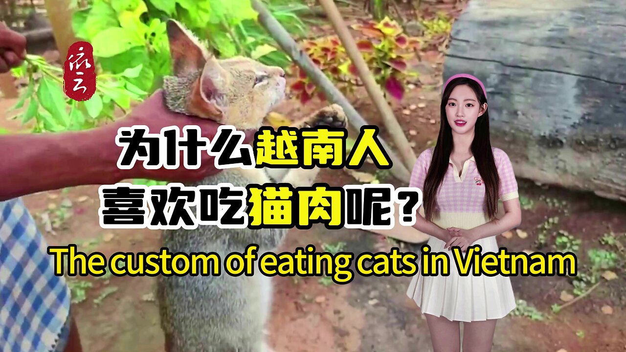 Vietnam's habit of eating "cats"