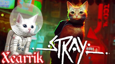A Cat Plays Stray! A Cyberpunk Game Staring A Cat?!