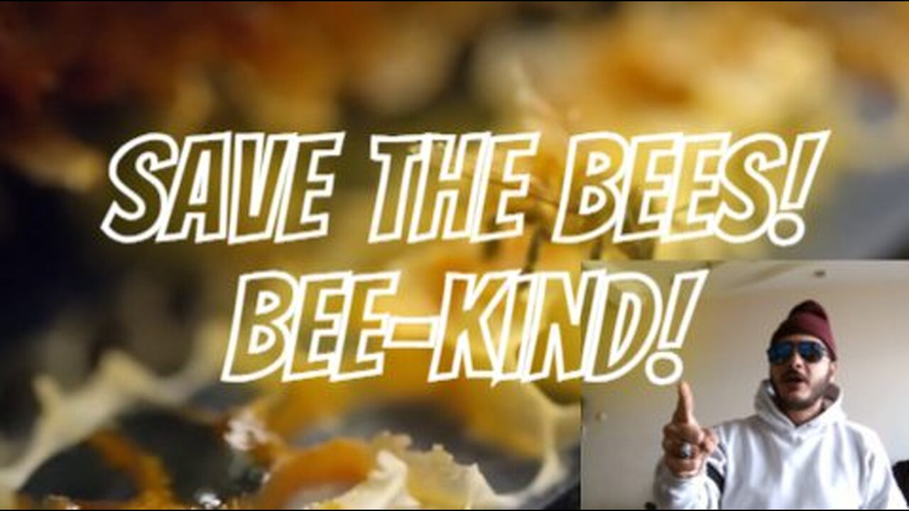 Save The Bees!