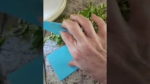 Trimming up the garden and using every bit