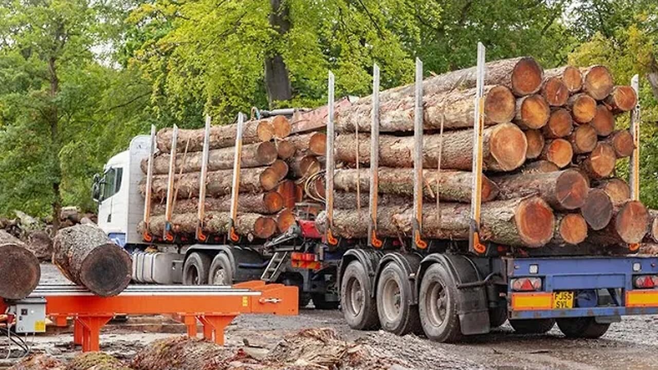 Scottish Sawmill In The Mountains Of Tennessee