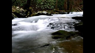 Cloudland Canyon Scenery and Hiking