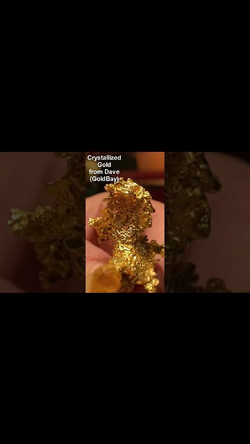 $500,000 Gold Nugget Specimens