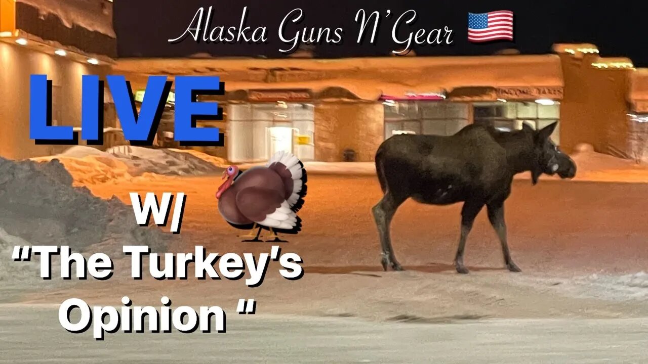 LIVE DISCUSSION W/ "The Turkey's Opinion"...Hi-Point Purchase Story😂…....Is .22 Safe to Carry?