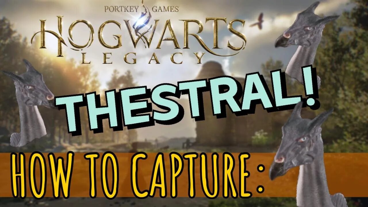 ⚡Where to Find and Capture the Thestral in Hogwarts Legacy⚡