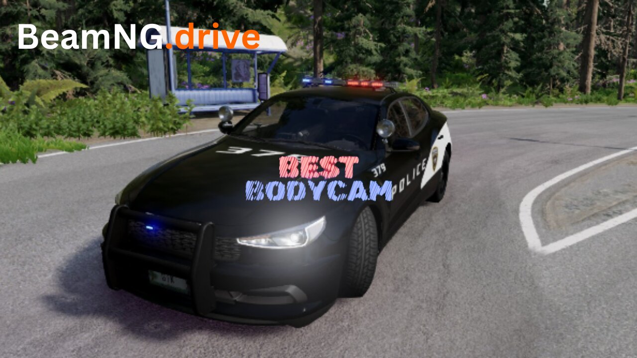 BeamNG | Solo Cop | 2