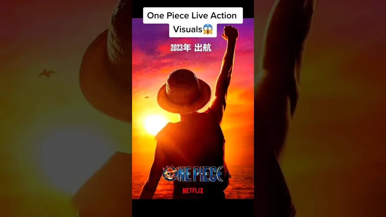 One Piece LIVE ACTION Visuals