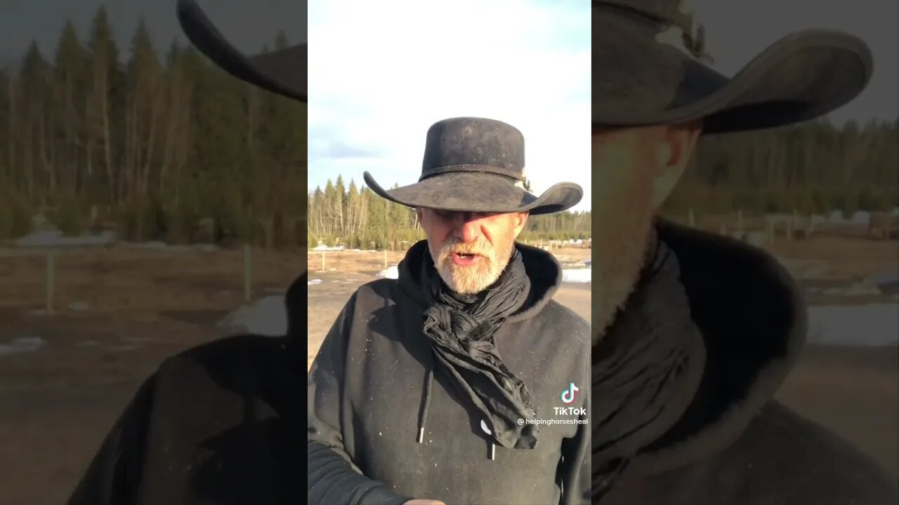 REAL CDN COWBOY- Lockdown