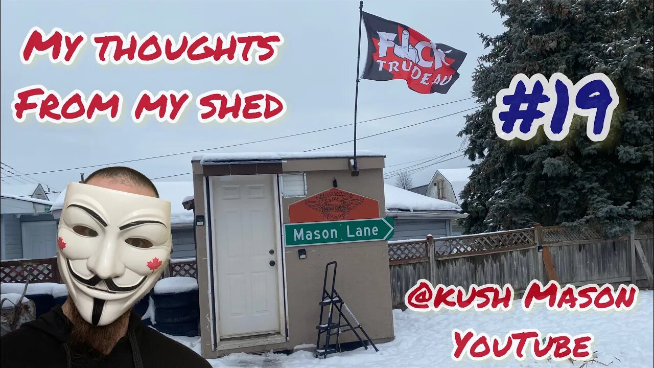 My thoughts from my shed #19 #live