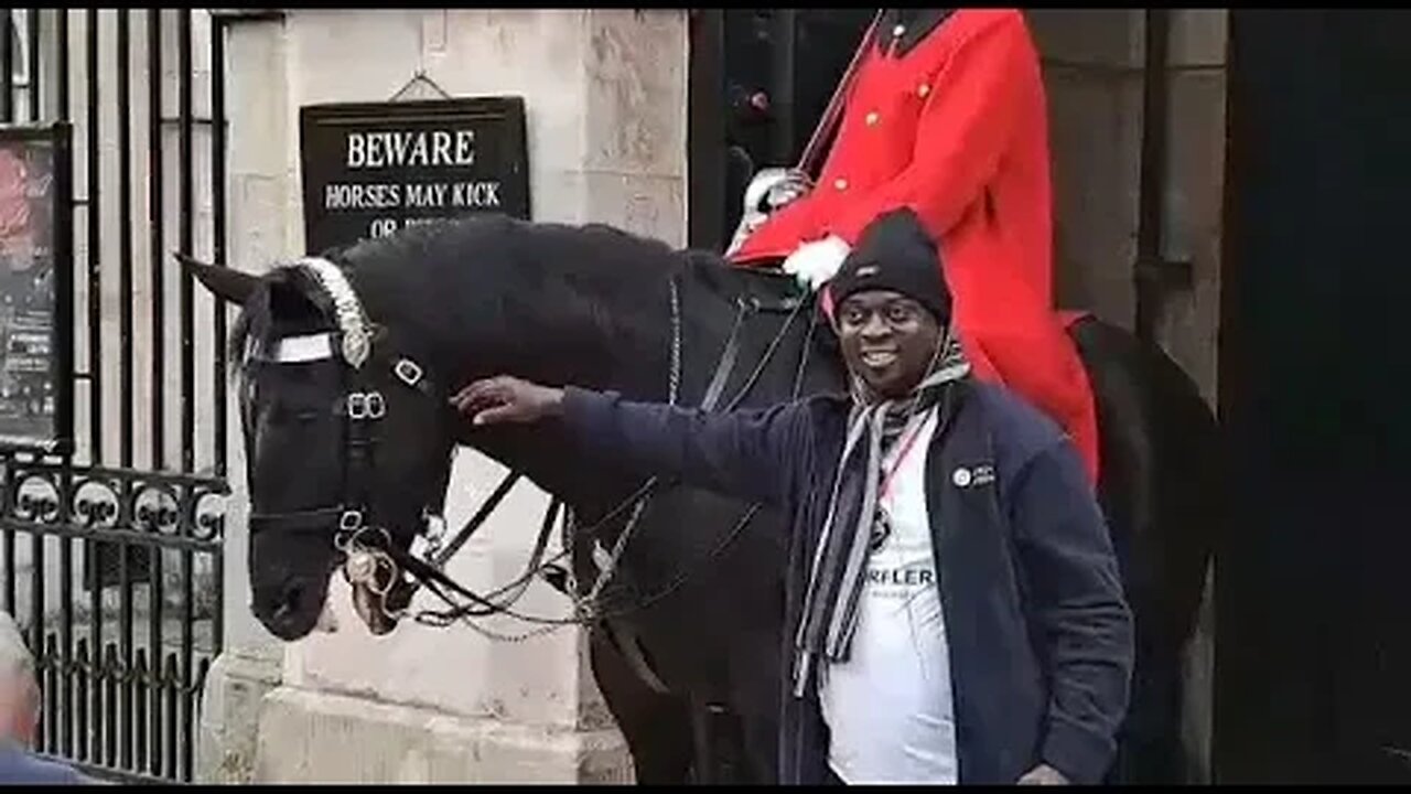 Holding the Reins #thekingsguard