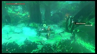 Quest for the Master Sword Zelda BOTW !!