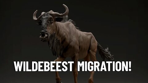 Wildebeest Migration Wonder of the World!