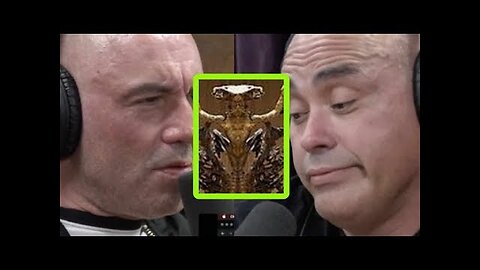 Eddie Bravo Exposes “Luciferian” Elements at Vatican