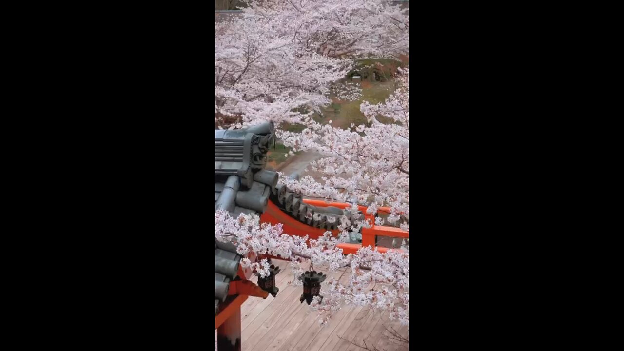 Scenic Japan