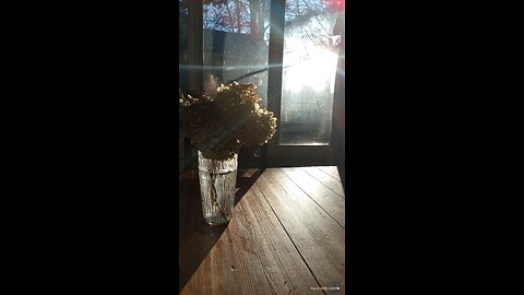 Mon Amie La Rose🌹 -Natacha Atlas