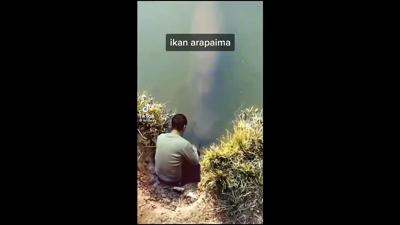 Fish eats man #fish # monster