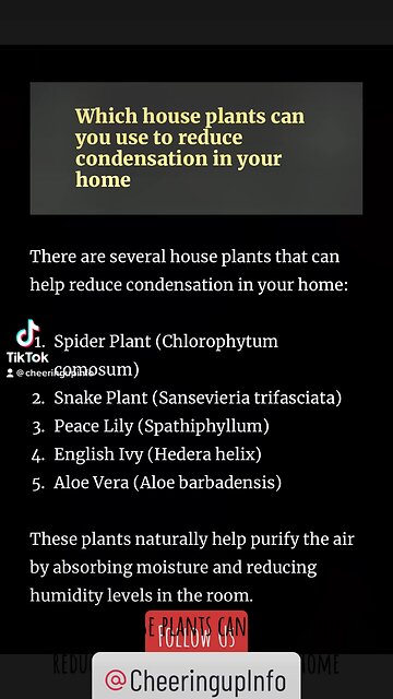 Which house plants can you use to reduce condensation in your home
